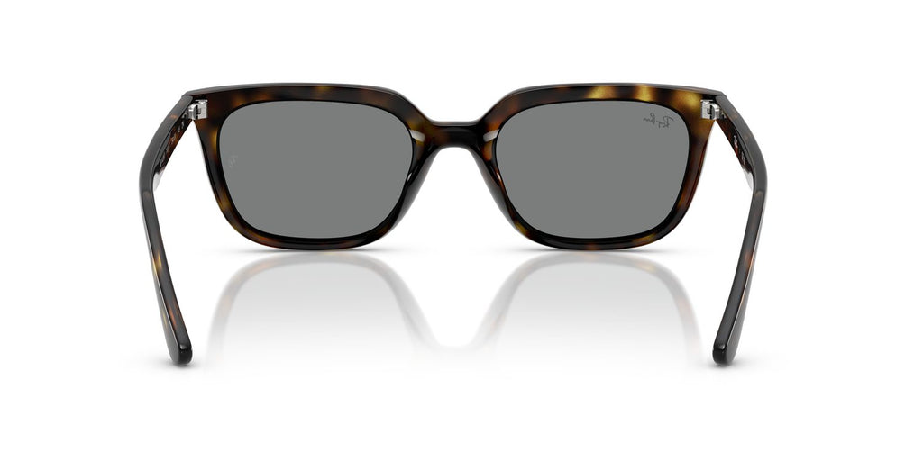 Ray-Ban | 0RB4439D