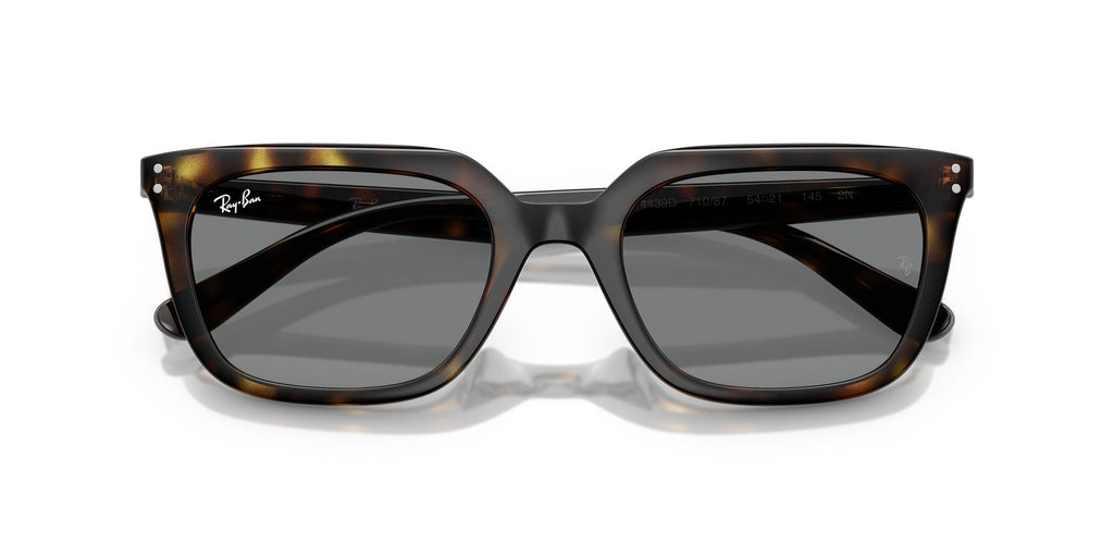Ray-Ban | 0RB4439D