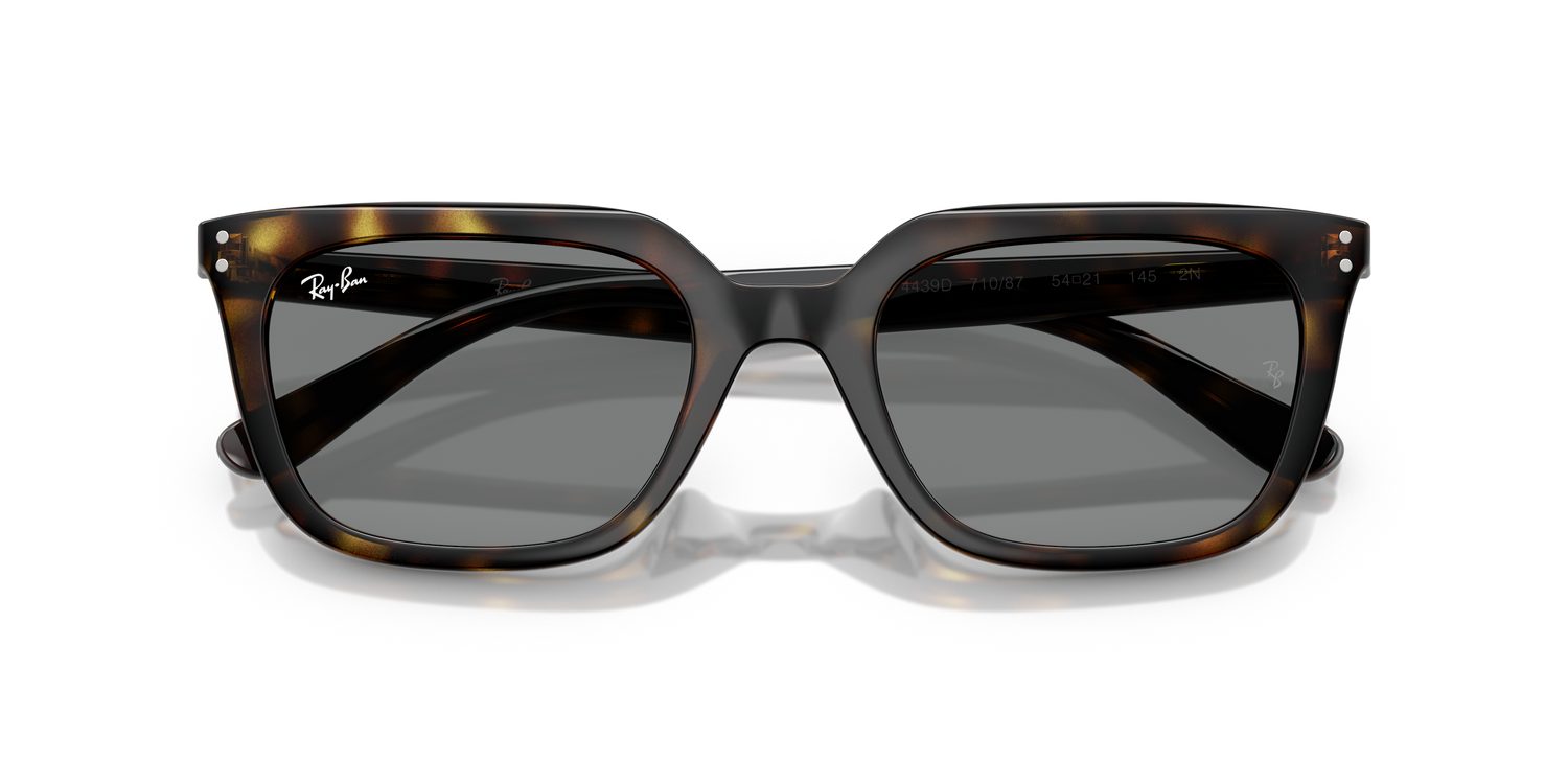 Ray-Ban | 0RB4439D
