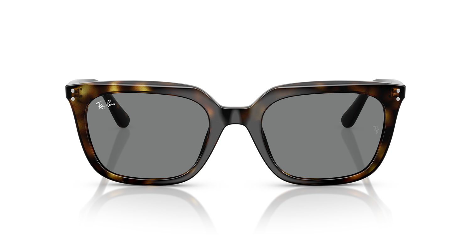 Ray-Ban | 0RB4439D