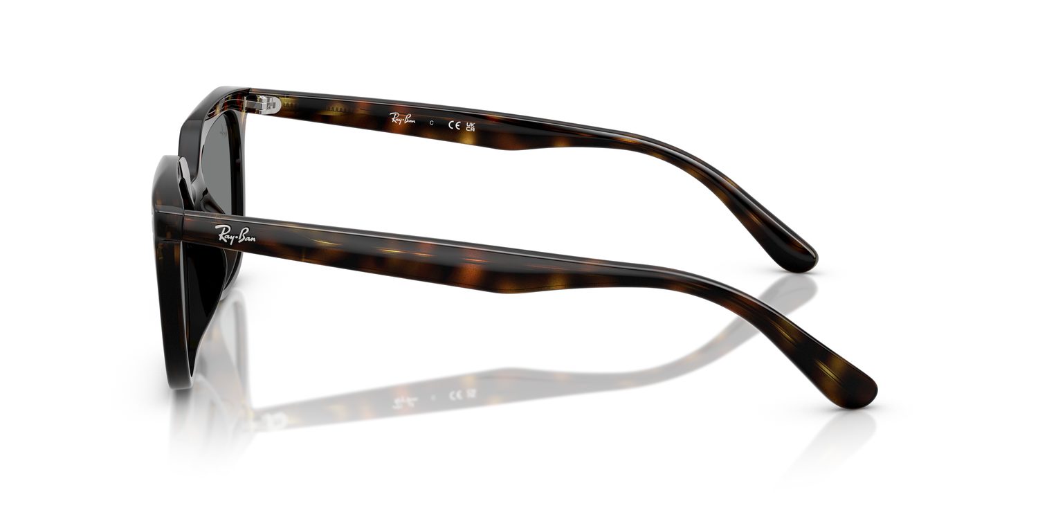 Ray-Ban | 0RB4439D