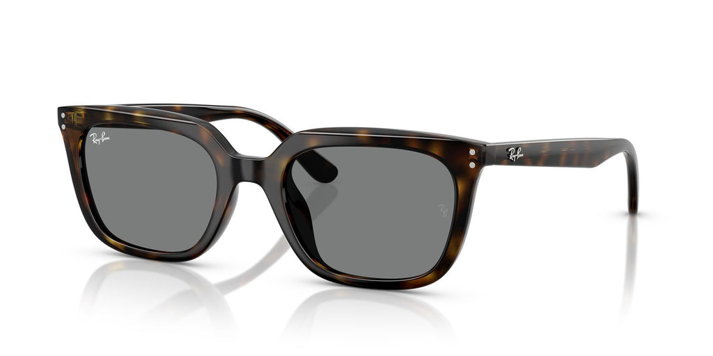 Ray-Ban | 0RB4439D