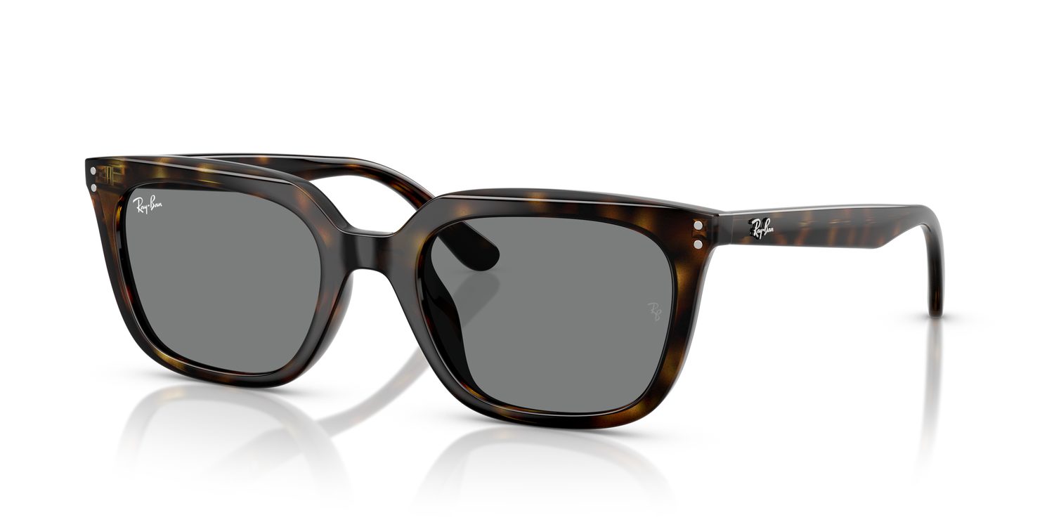 Ray-Ban | 0RB4439D