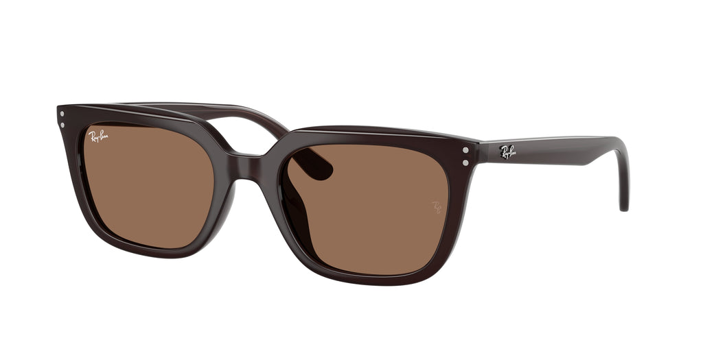 Ray-Ban | 0RB4439D