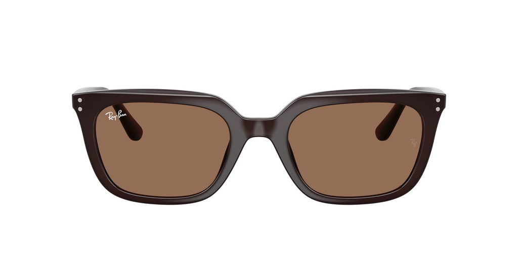Ray-Ban | 0RB4439D