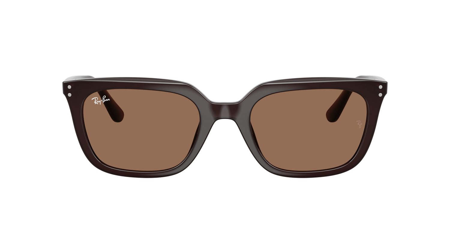 Ray-Ban | 0RB4439D