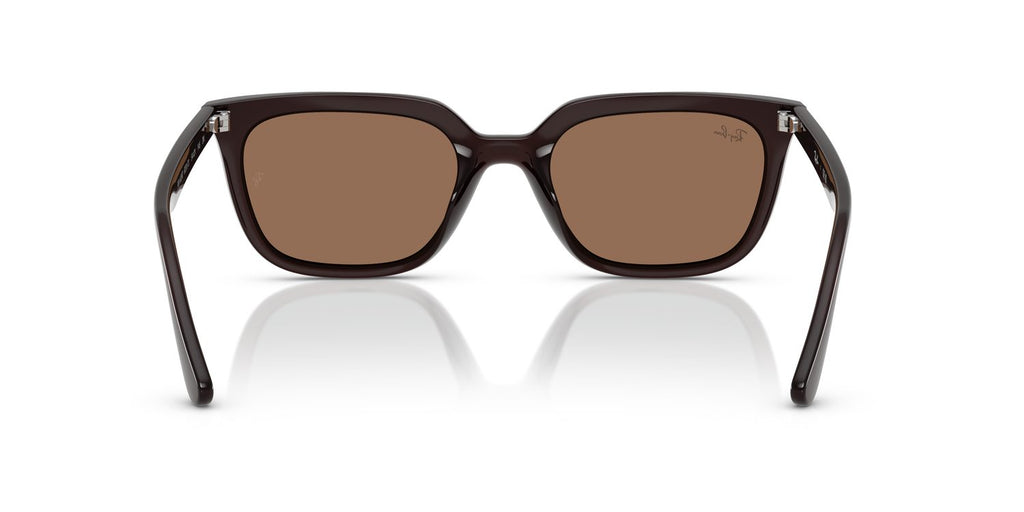 Ray-Ban | 0RB4439D