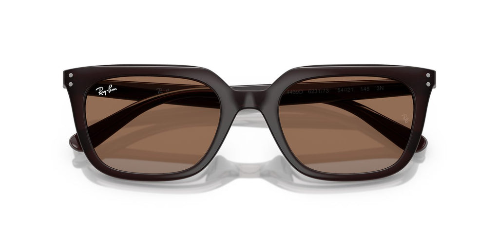 Ray-Ban | 0RB4439D