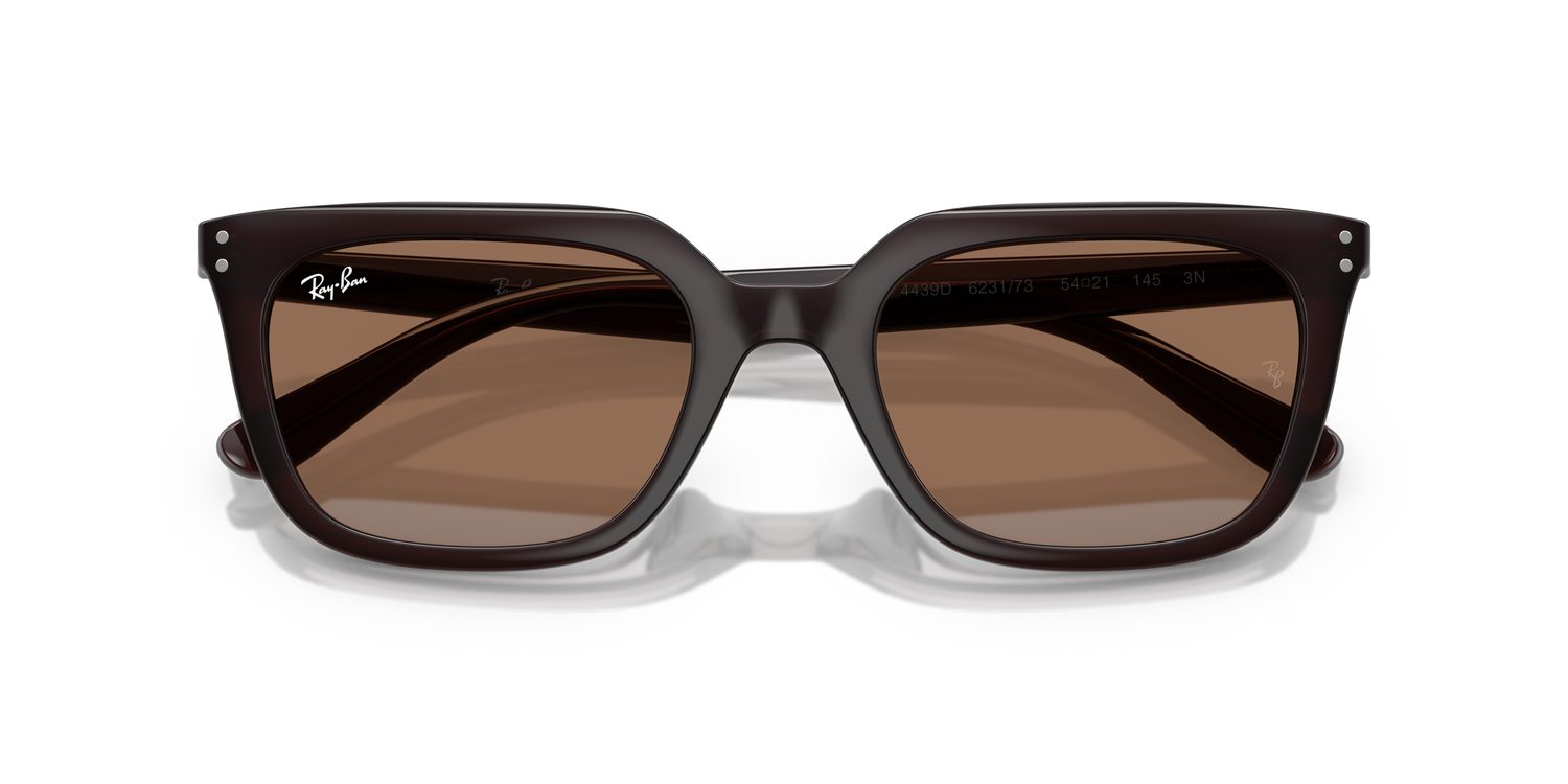 Ray-Ban | 0RB4439D