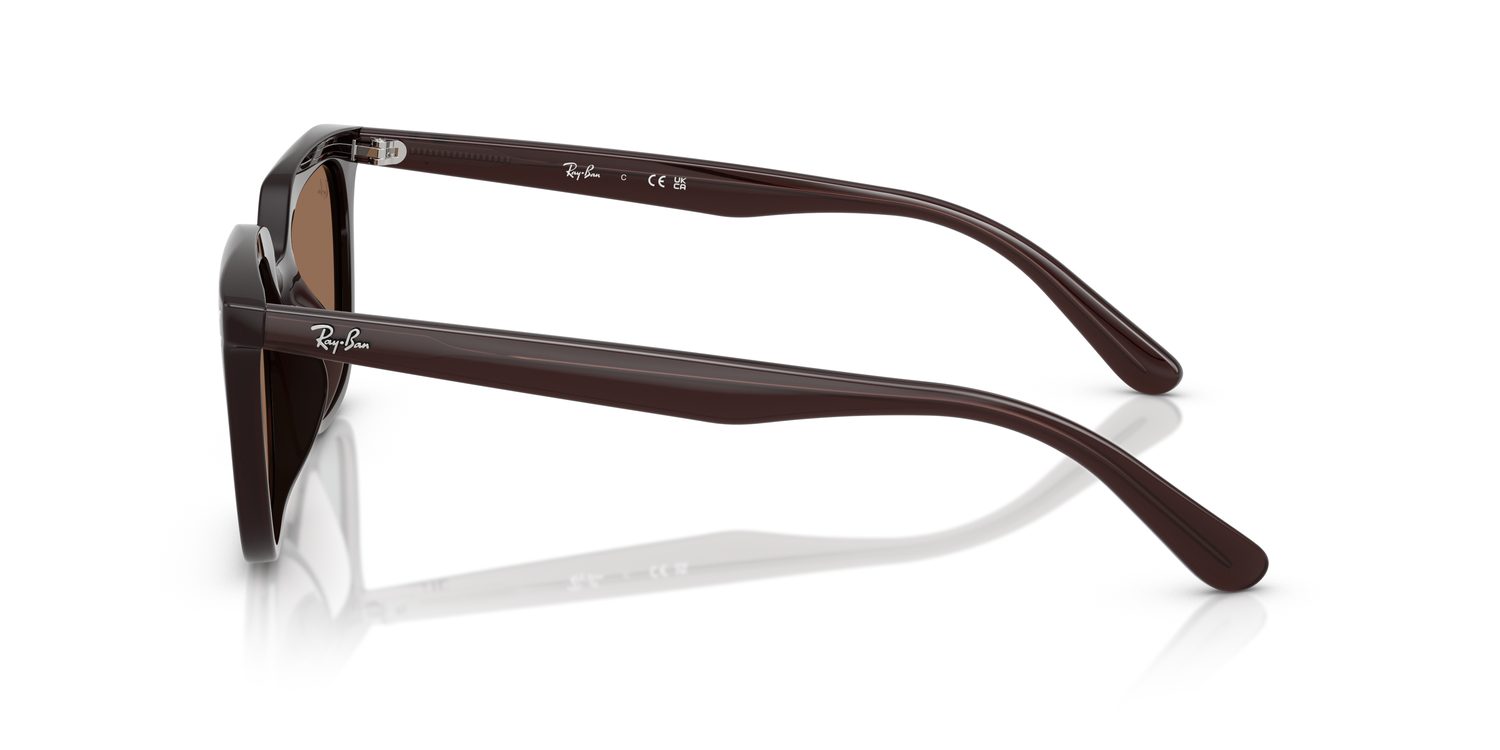 Ray-Ban | 0RB4439D