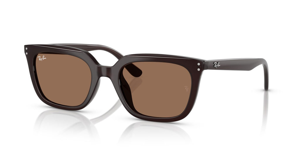 Ray-Ban | 0RB4439D