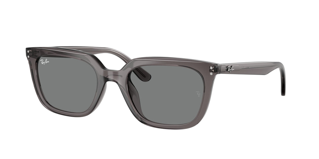 Ray-Ban | 0RB4439D