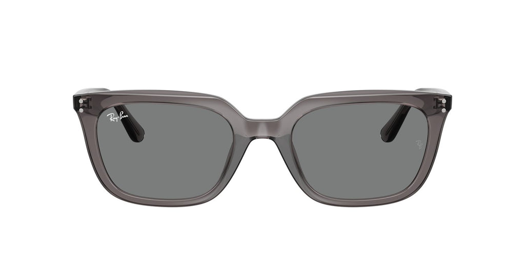 Ray-Ban | 0RB4439D