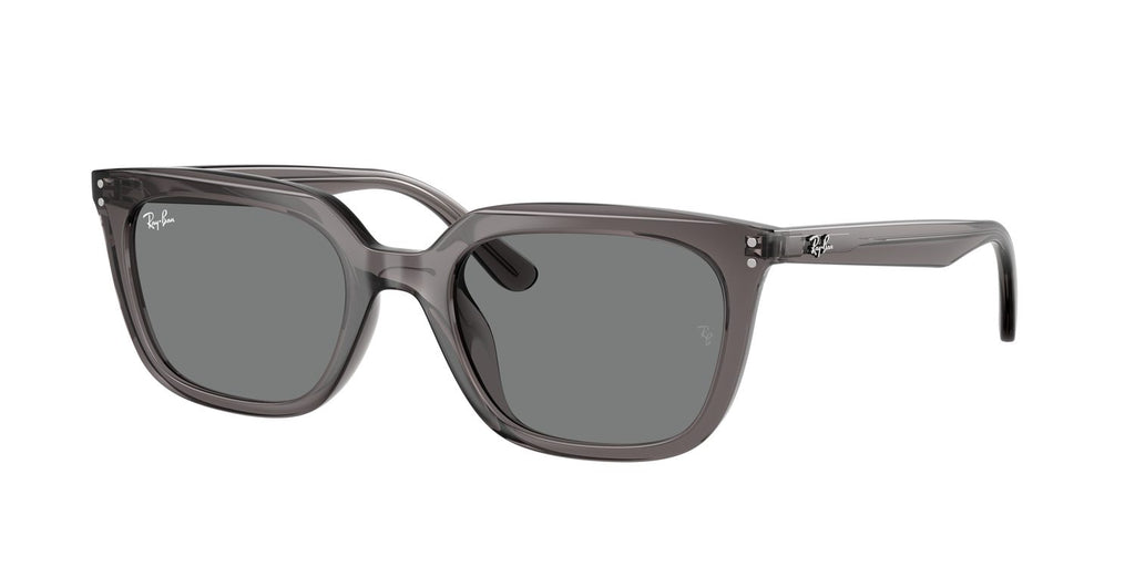 Ray-Ban | 0RB4439D