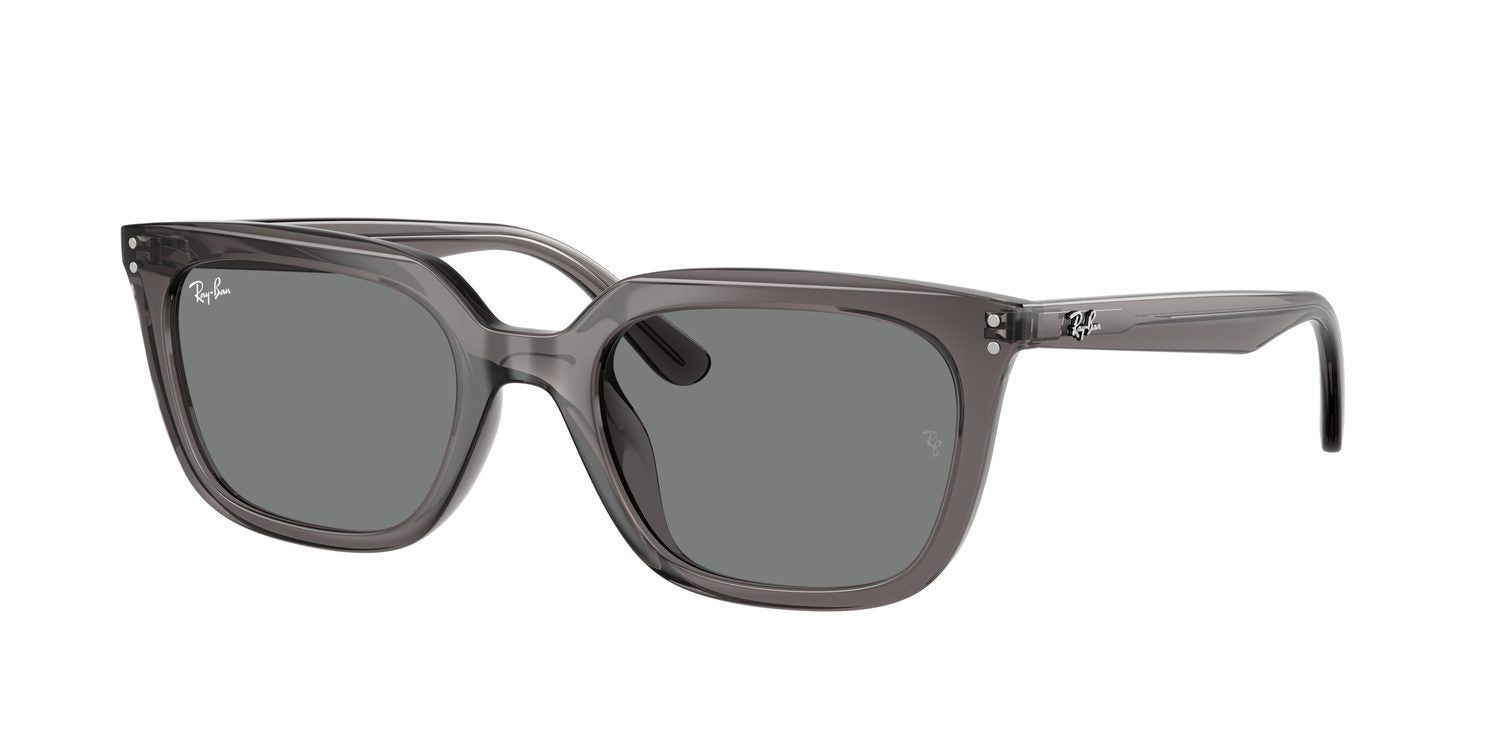 Ray-Ban | 0RB4439D