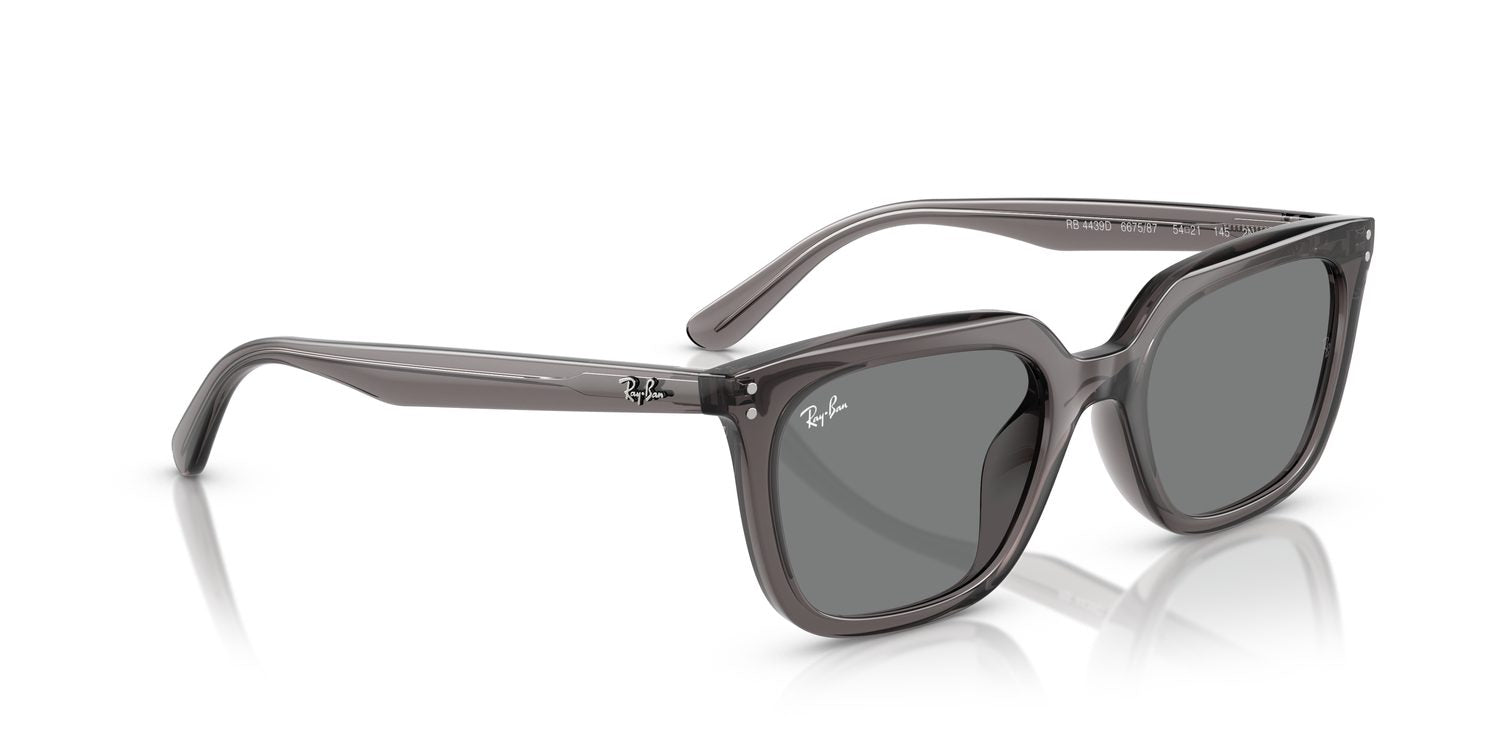 Ray-Ban | 0RB4439D