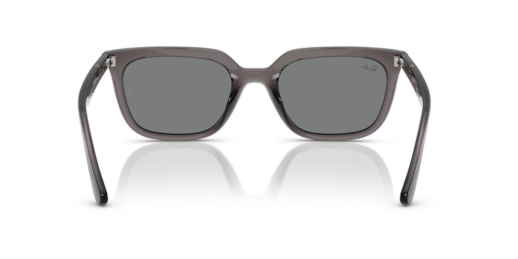 Ray-Ban | 0RB4439D