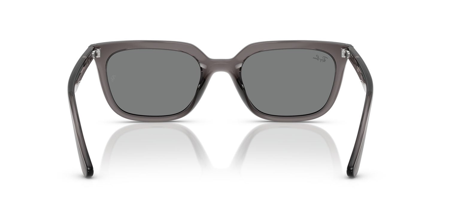 Ray-Ban | 0RB4439D