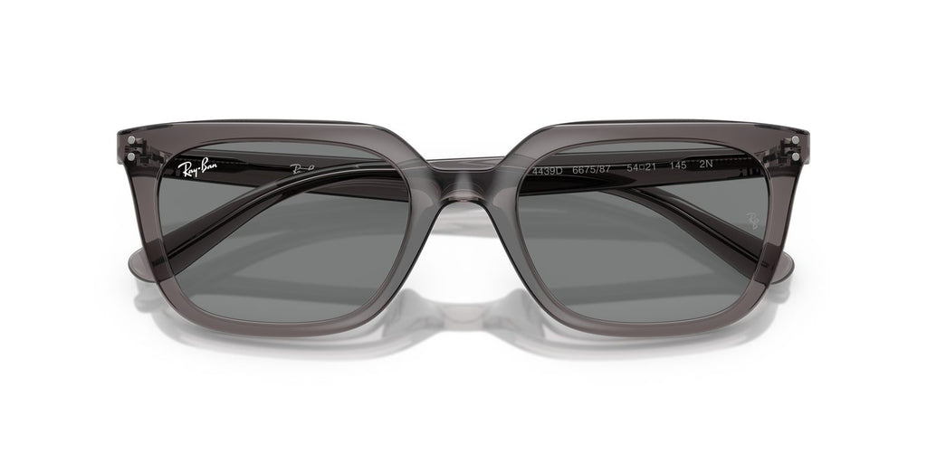 Ray-Ban | 0RB4439D