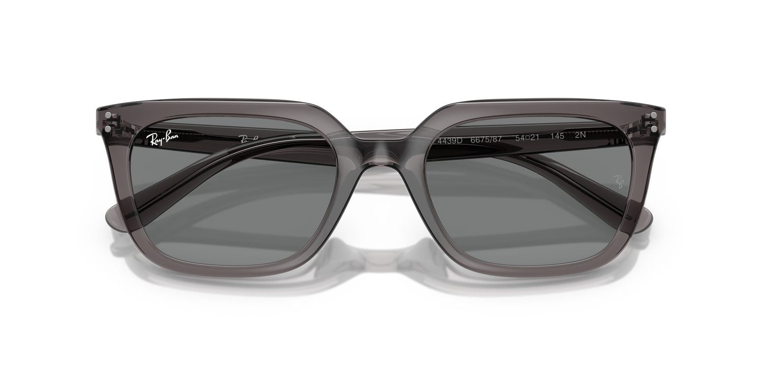 Ray-Ban | 0RB4439D