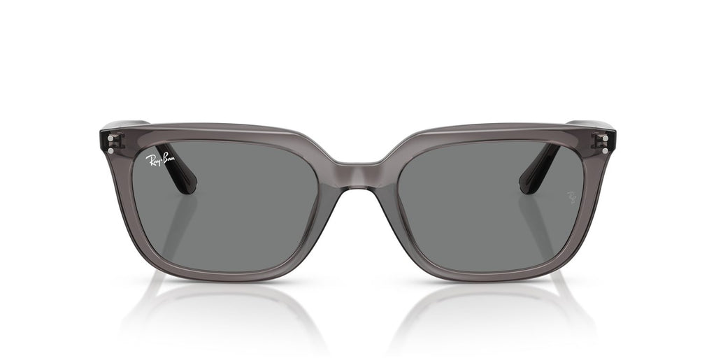 Ray-Ban | 0RB4439D