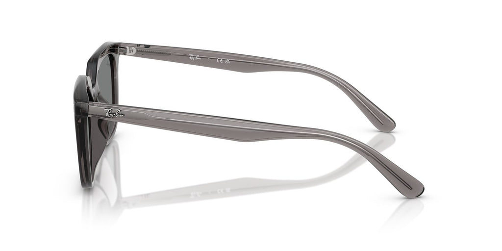 Ray-Ban | 0RB4439D