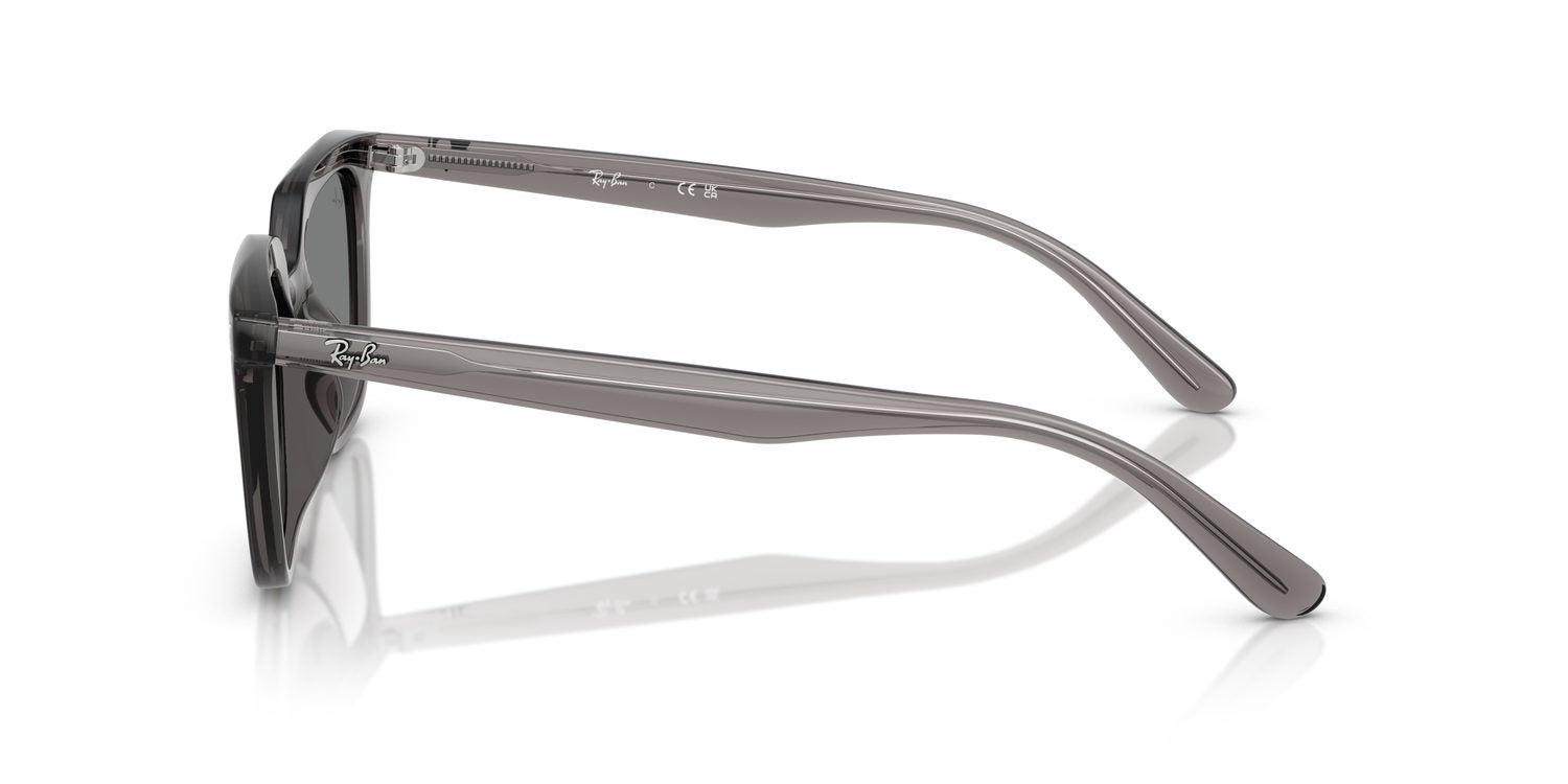 Ray-Ban | 0RB4439D