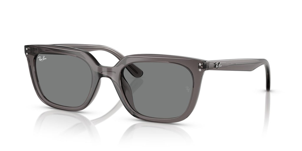 Ray-Ban | 0RB4439D