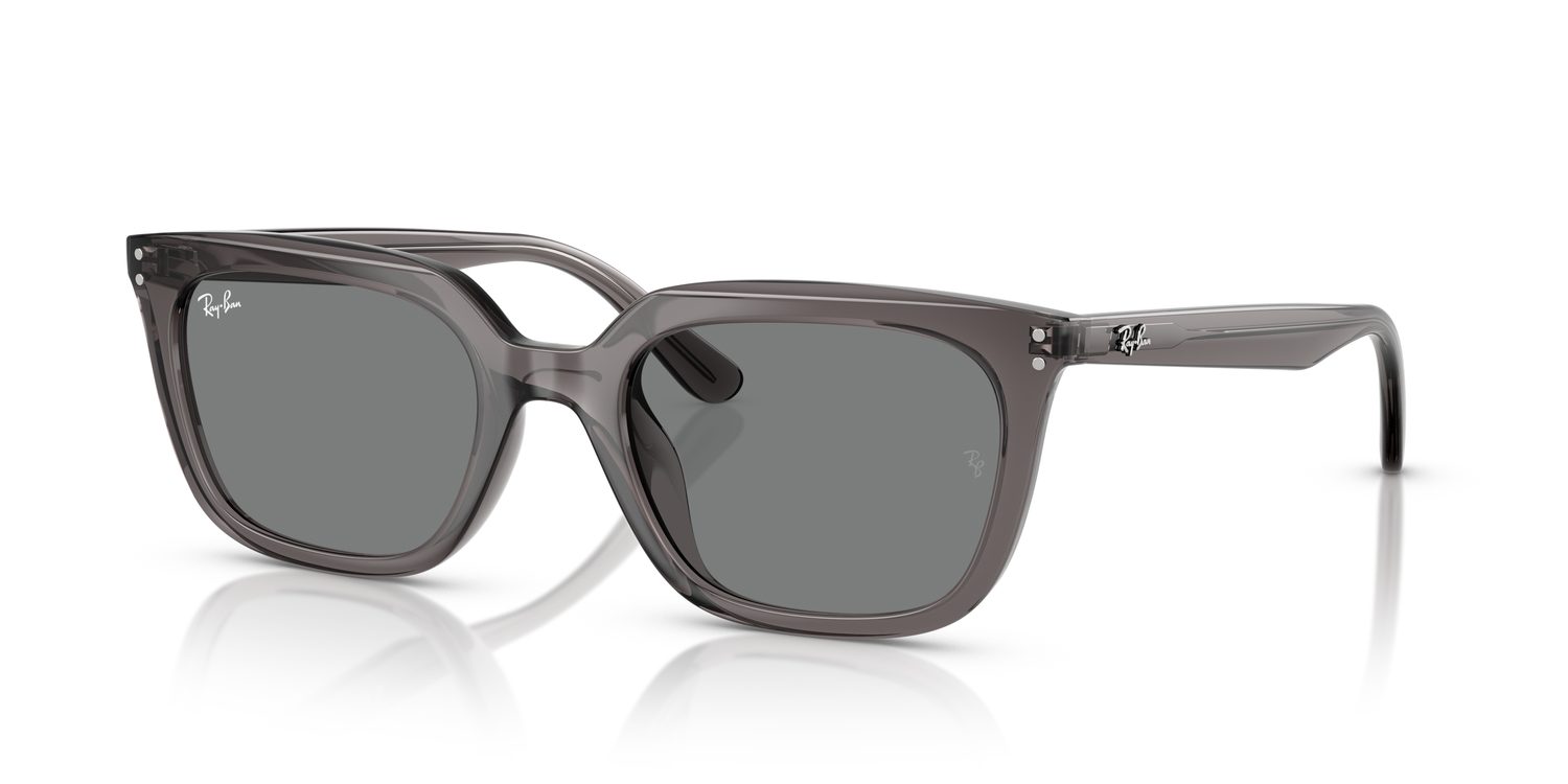 Ray-Ban | 0RB4439D