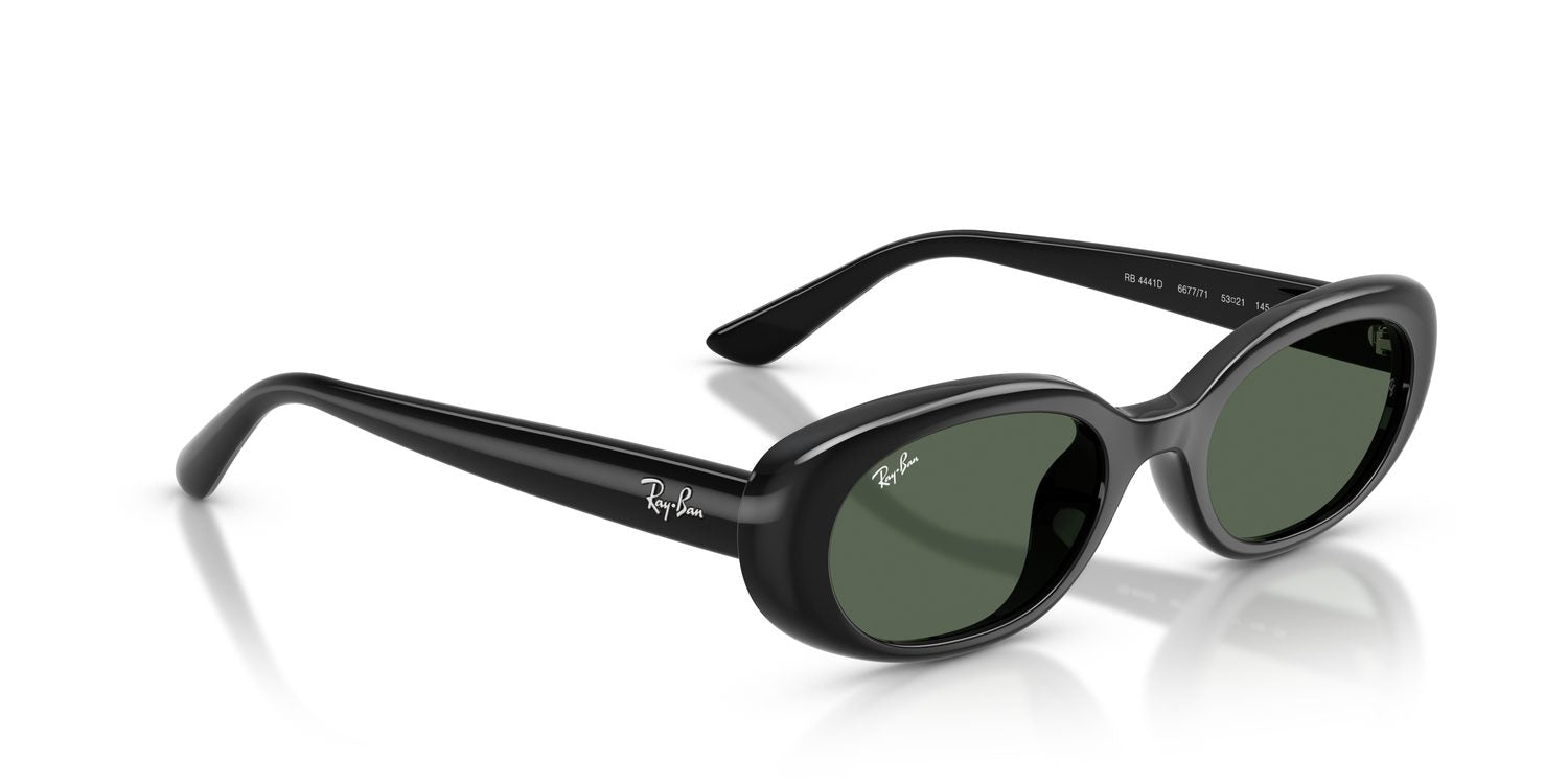 Ray-Ban | 0RB4441D