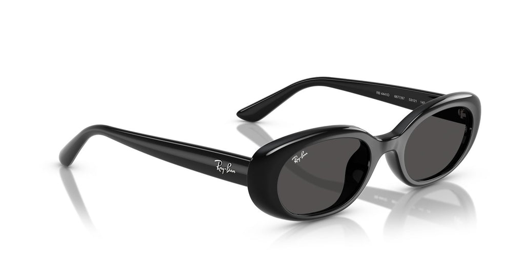 Ray-Ban | 0RB4441D