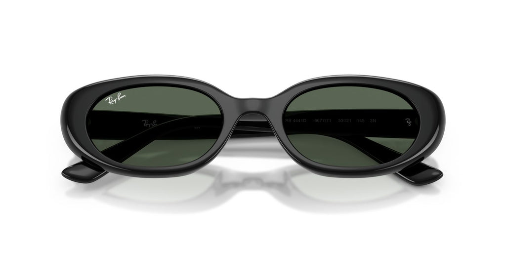 Ray-Ban | 0RB4441D