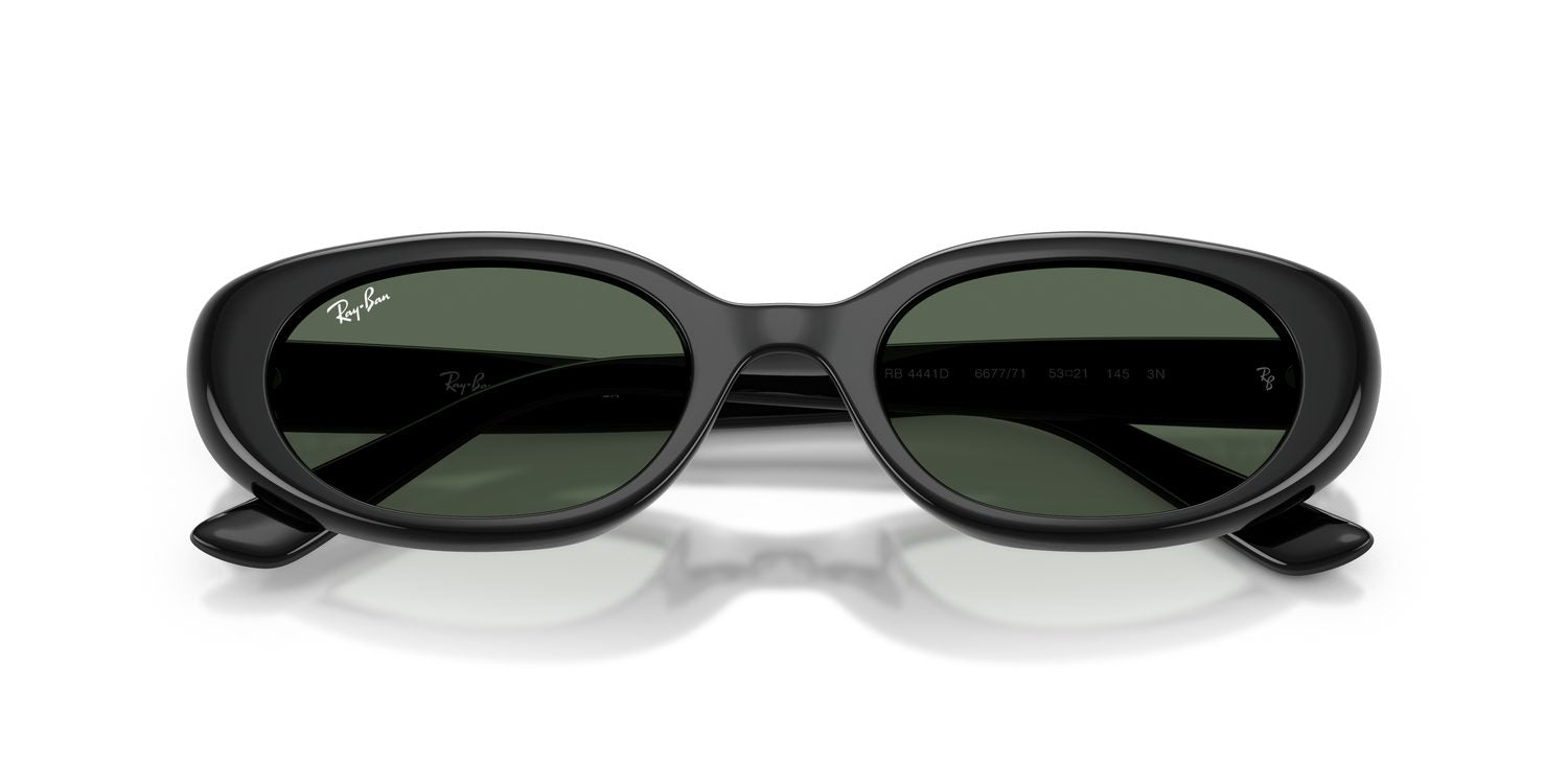 Ray-Ban | 0RB4441D