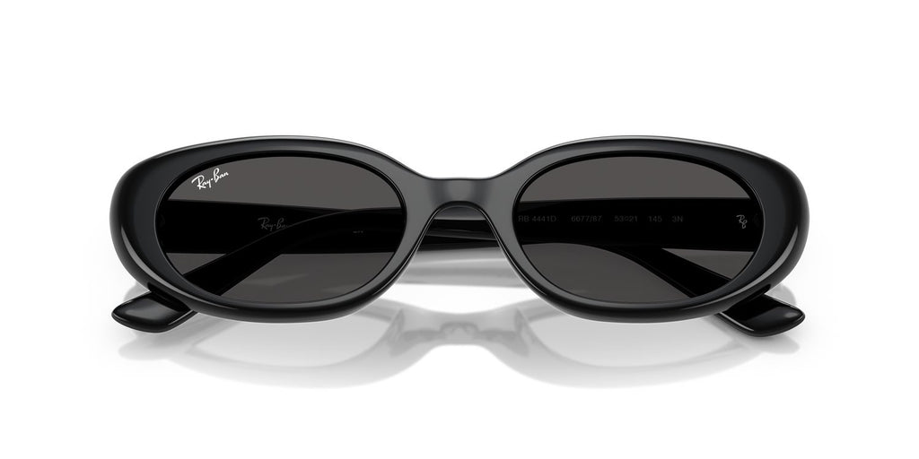 Ray-Ban | 0RB4441D