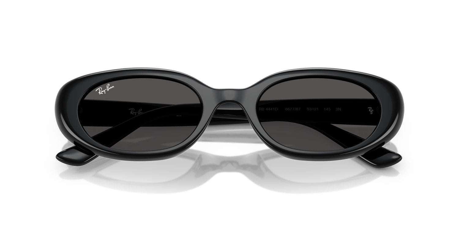 Ray-Ban | 0RB4441D