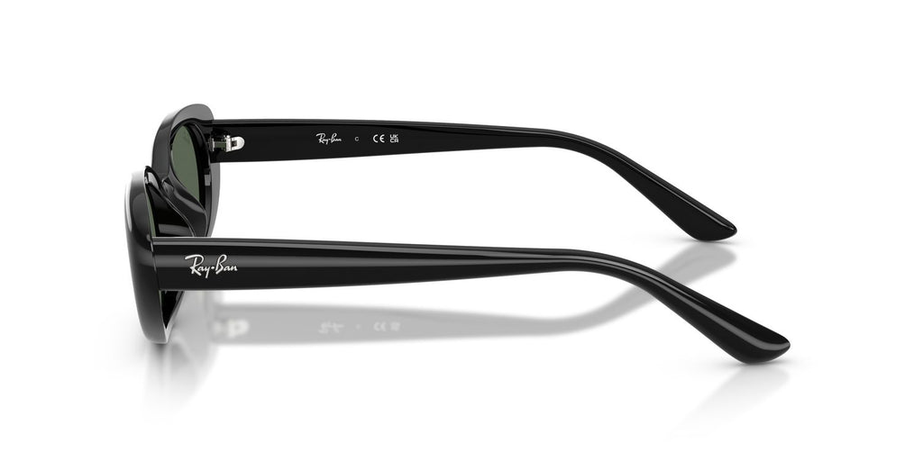 Ray-Ban | 0RB4441D