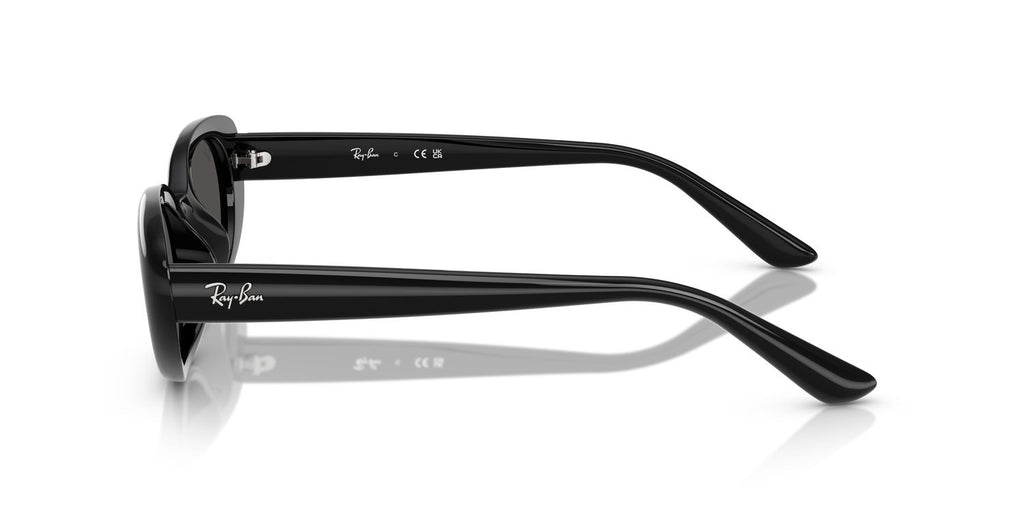 Ray-Ban | 0RB4441D