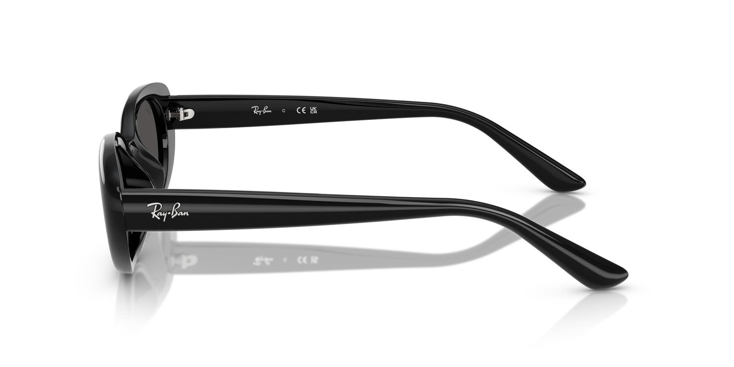 Ray-Ban | 0RB4441D