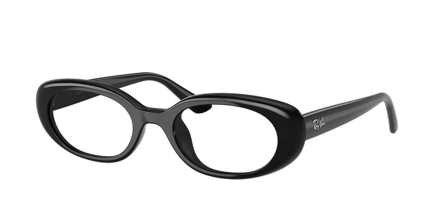 Ray-Ban | 0RB4441D