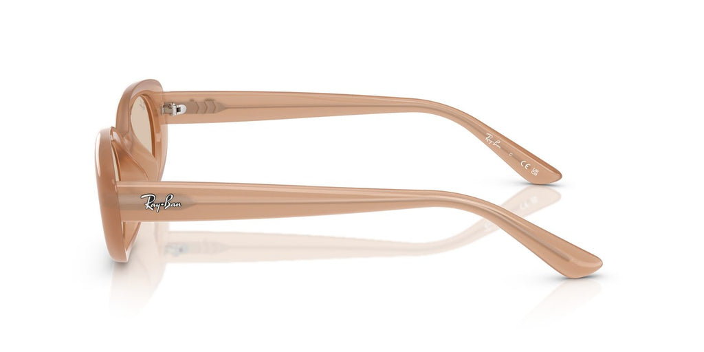 Ray-Ban | 0RB4441D