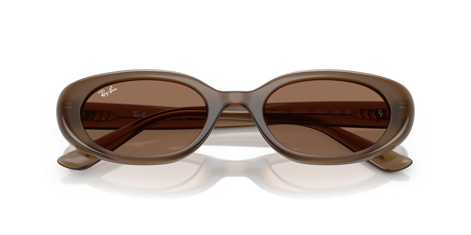 Ray-Ban | 0RB4441D