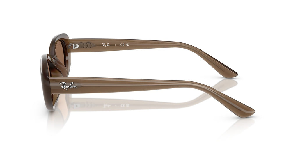 Ray-Ban | 0RB4441D