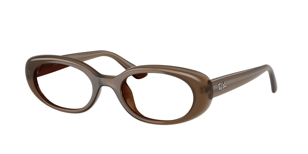 Ray-Ban | 0RB4441D