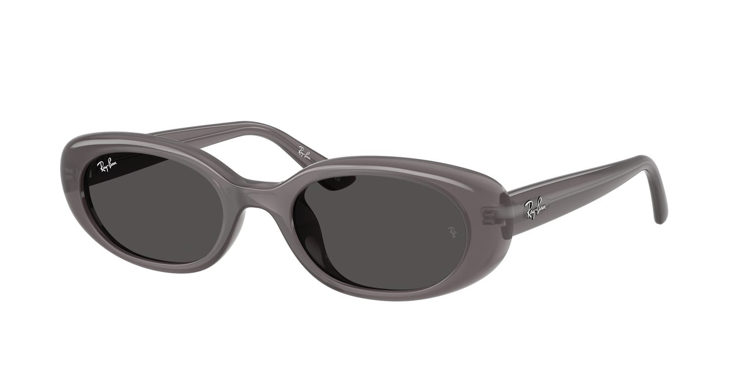 Ray-Ban | 0RB4441D