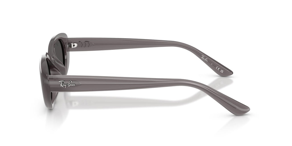 Ray-Ban | 0RB4441D