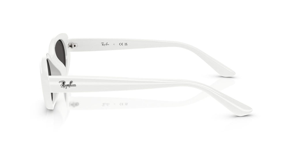 Ray-Ban | 0RB4441D