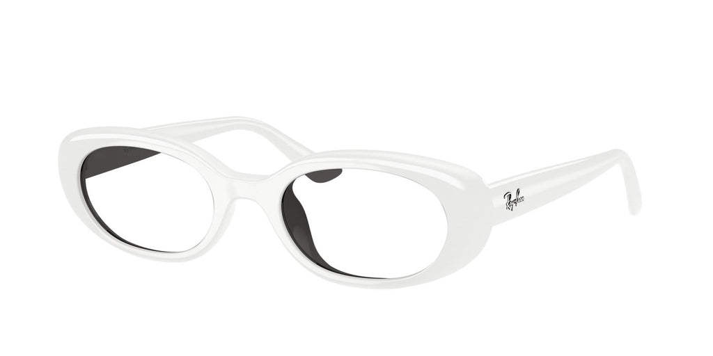 Ray-Ban | 0RB4441D