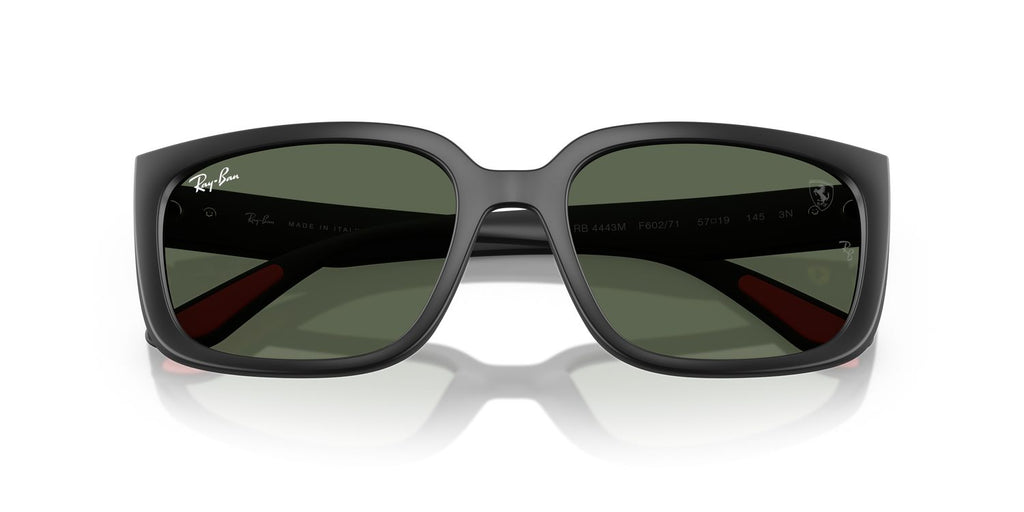 Ray-Ban | 0RB4443M
