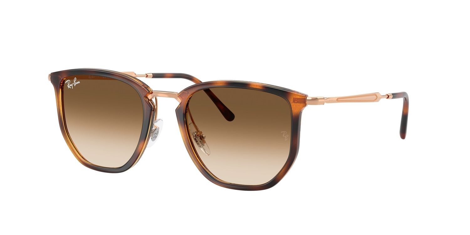 Ray-Ban | 0RB4451