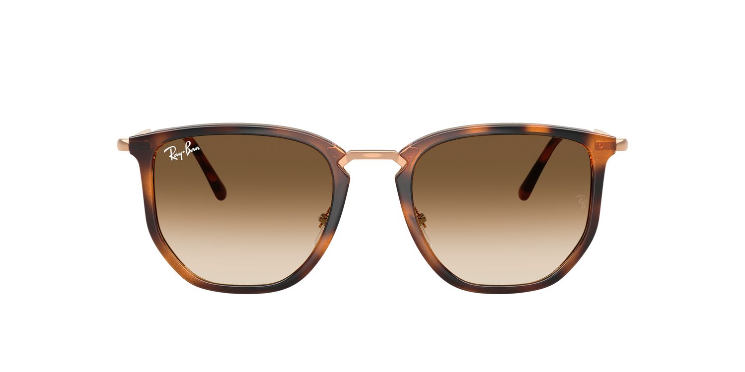 Ray-Ban | 0RB4451